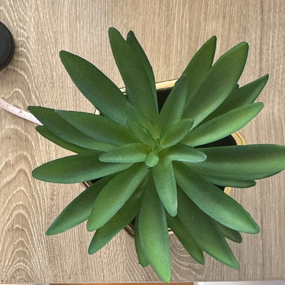Target Project 62 Gold Planter with Faux Succulent